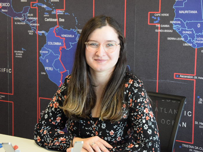 Ebru: Data Entry Manager